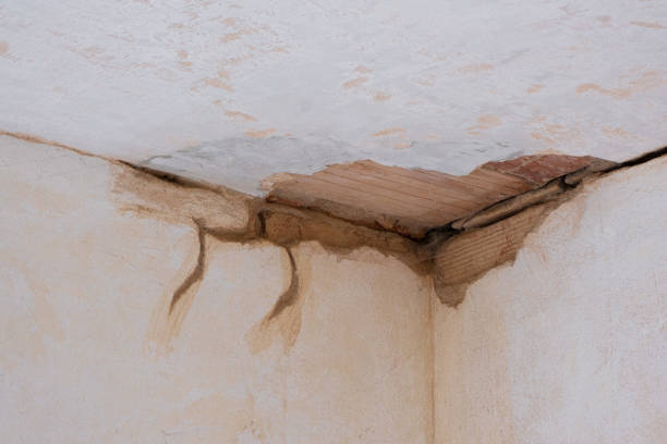 Best Water damage mitigation services  in Saco, ME