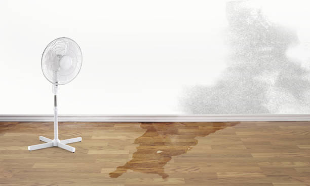 Best 24-hour water damage restoration  in Saco, ME