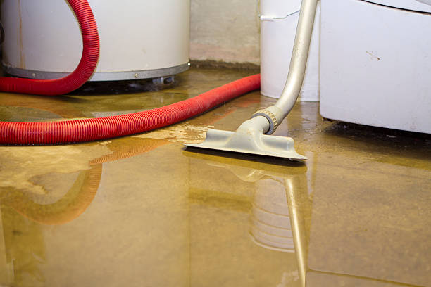 Best Water damage repair service  in Saco, ME