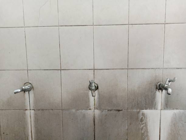 Best Ceiling water damage repair  in Saco, ME